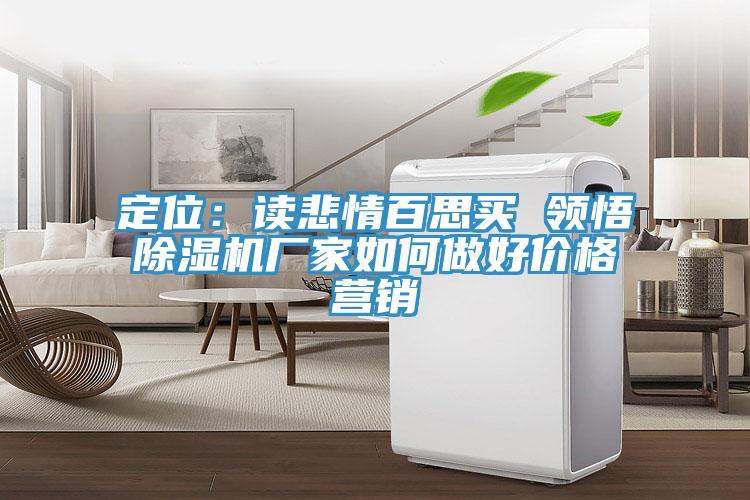 定位：讀悲情百思買 領(lǐng)悟除濕機(jī)廠家如何做好價格營銷