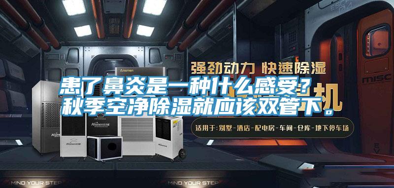 患了鼻炎是一種什么感受？ 秋季空凈除濕就應該雙管下。