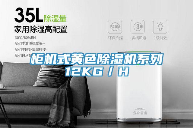 柜機(jī)式黃色除濕機(jī)系列12KG／H