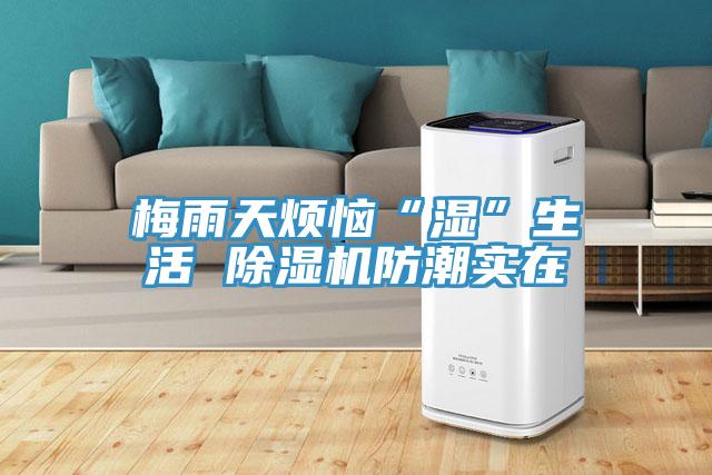 梅雨天煩惱“濕”生活 除濕機(jī)防潮實(shí)在