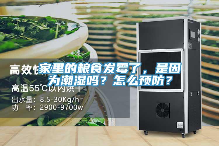 家里的糧食發(fā)霉了，是因為潮濕嗎？怎么預防？