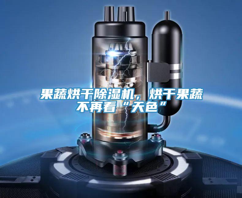 果蔬烘干除濕機，烘干果蔬不再看“天色”