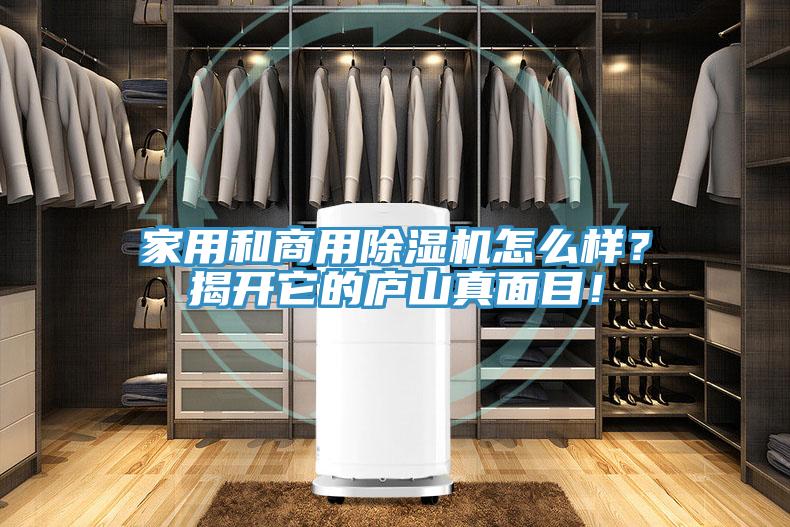 家用和商用除濕機(jī)怎么樣？揭開(kāi)它的廬山真面目！
