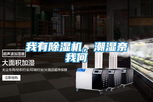 我有除濕機(jī)，潮濕奈我何