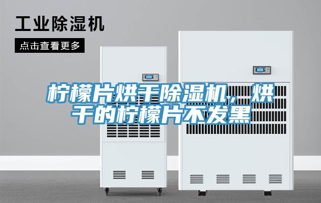 檸檬片烘干除濕機(jī)，烘干的檸檬片不發(fā)黑