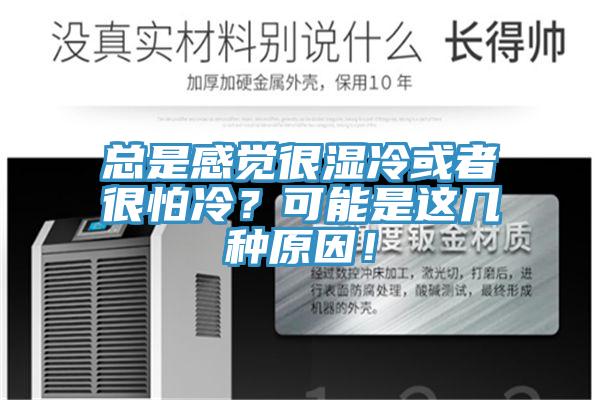 總是感覺很濕冷或者很怕冷？可能是這幾種原因！