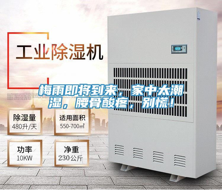 梅雨即將到來，家中太潮濕，腰骨酸疼，別慌！