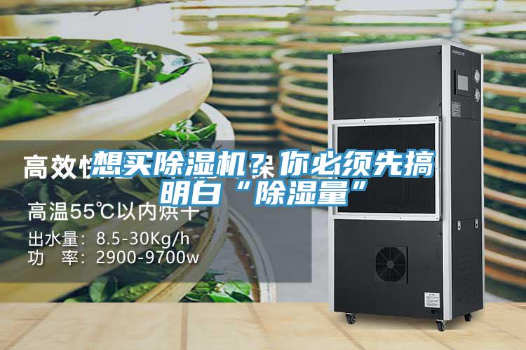 想買除濕機(jī)？你必須先搞明白“除濕量”