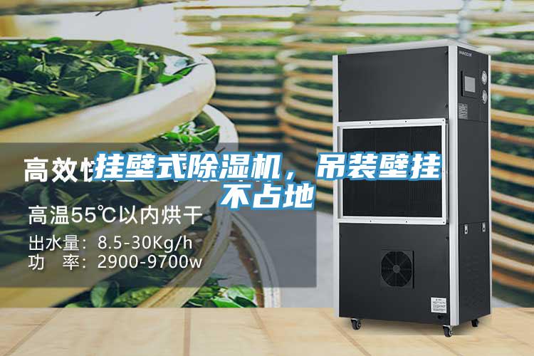 掛壁式除濕機(jī)，吊裝壁掛不占地