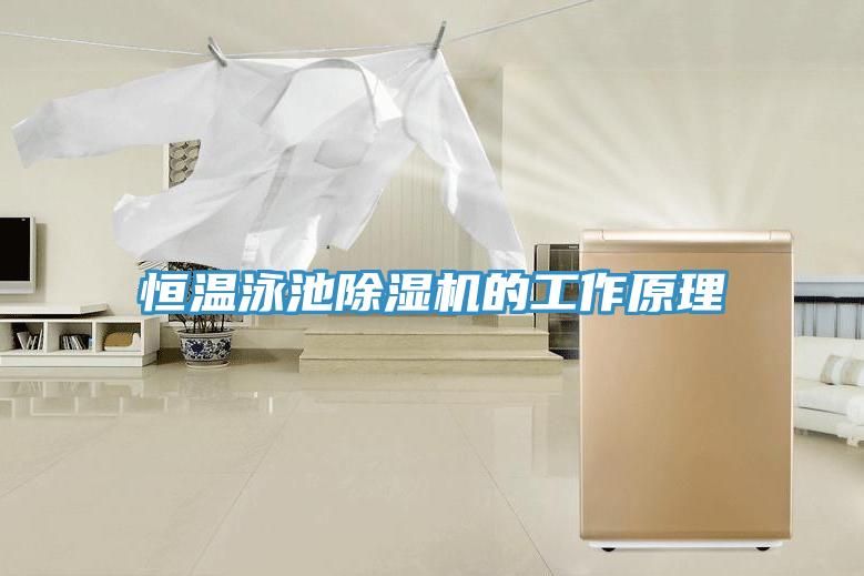 恒溫泳池除濕機(jī)的工作原理