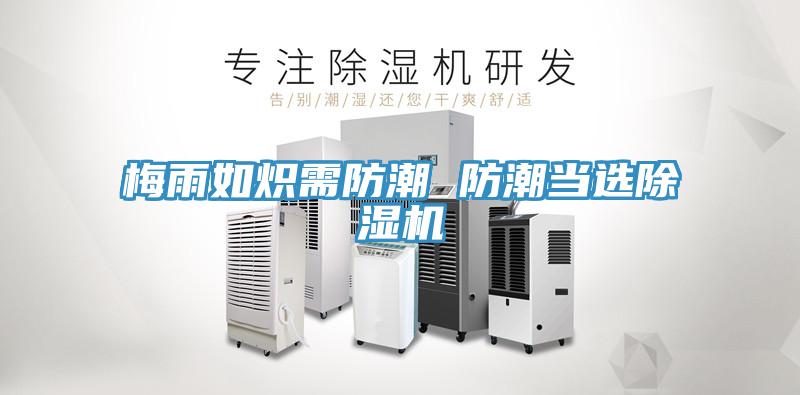 梅雨如熾需防潮 防潮當(dāng)選除濕機