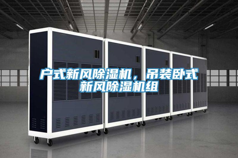 戶式新風(fēng)除濕機(jī)，吊裝臥式新風(fēng)除濕機(jī)組