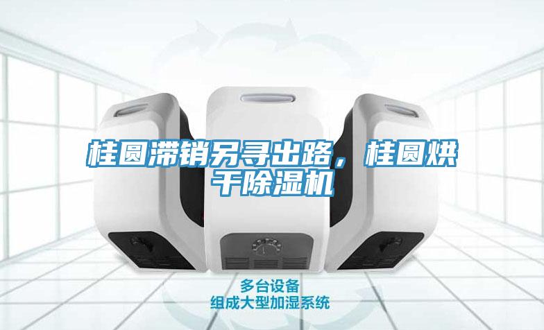 桂圓滯銷另尋出路，桂圓烘干除濕機(jī)