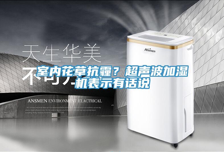 室內(nèi)花草抗霾？超聲波加濕機表示有話說
