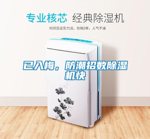 已入梅，防潮招數(shù)除濕機(jī)快