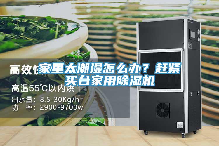 家里太潮濕怎么辦？趕緊買臺家用除濕機