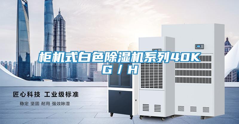 柜機式白色除濕機系列40KG／H