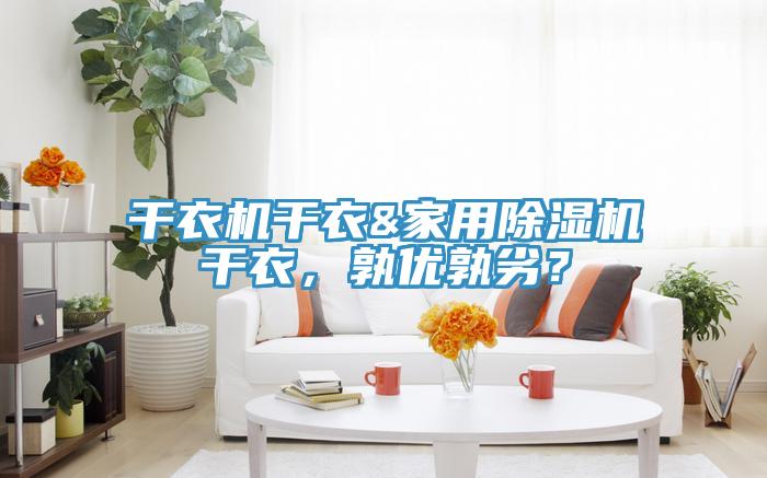 干衣機(jī)干衣&家用除濕機(jī)干衣，孰優(yōu)孰劣？