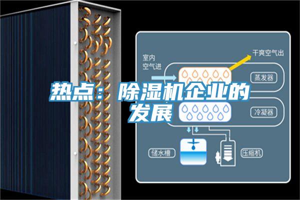 熱點：除濕機企業(yè)的發(fā)展