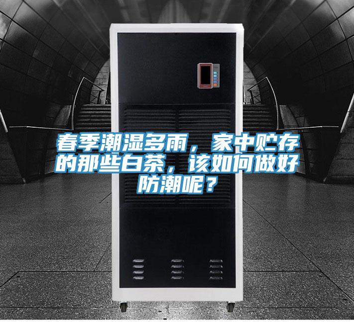 春季潮濕多雨，家中貯存的那些白茶，該如何做好防潮呢？
