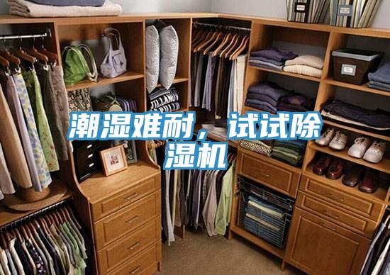 潮濕難耐，試試除濕機(jī)