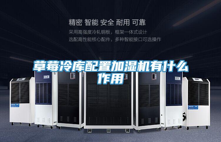 草莓冷庫(kù)配置加濕機(jī)有什么作用