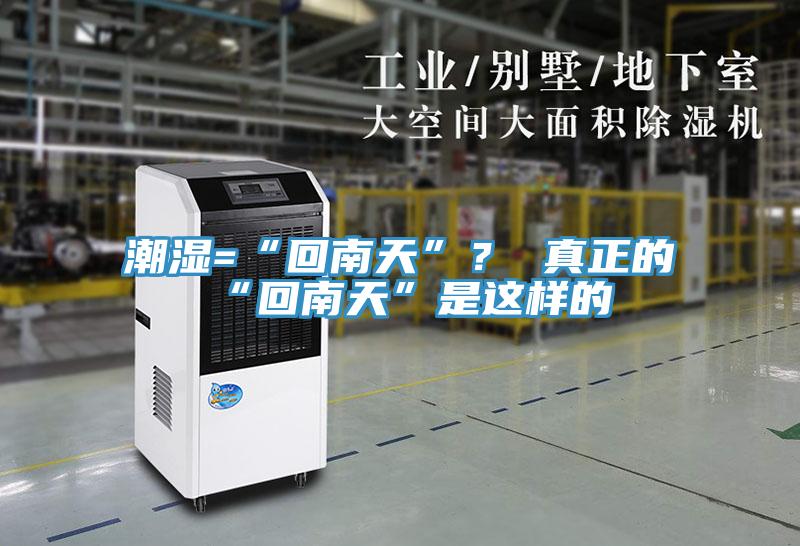 潮濕=“回南天”？ 真正的“回南天”是這樣的