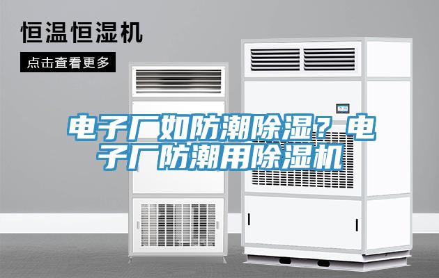 電子廠如防潮除濕？電子廠防潮用除濕機