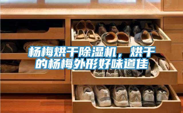 楊梅烘干除濕機，烘干的楊梅外形好味道佳