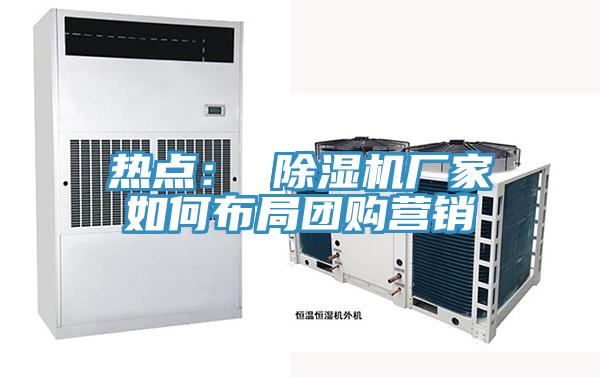 熱點(diǎn)： 除濕機(jī)廠家如何布局團(tuán)購(gòu)營(yíng)銷