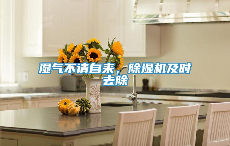 濕氣不請自來，除濕機及時去除