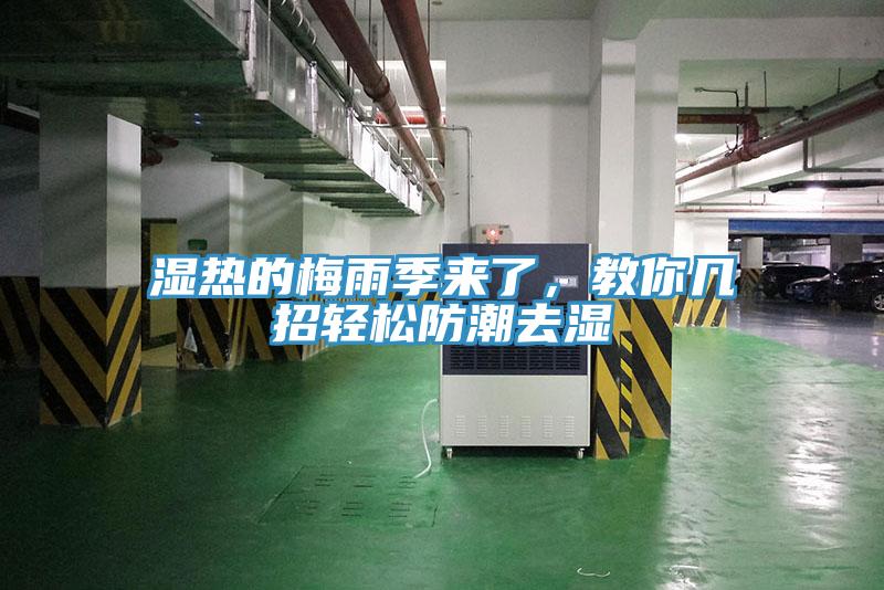 濕熱的梅雨季來了，教你幾招輕松防潮去濕