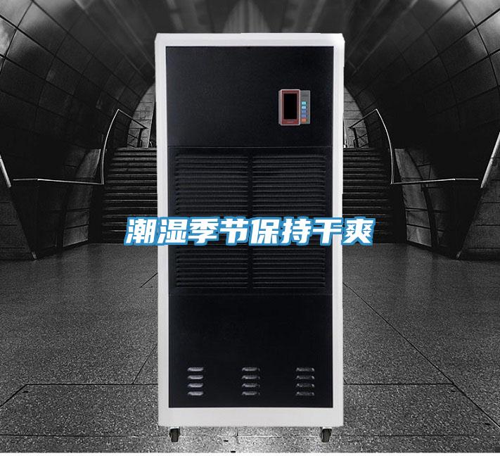 潮濕季節(jié)保持干爽