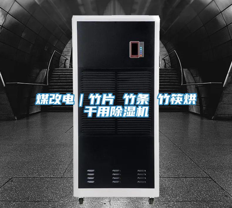 煤改電｜竹片 竹條 竹筷烘干用除濕機(jī)