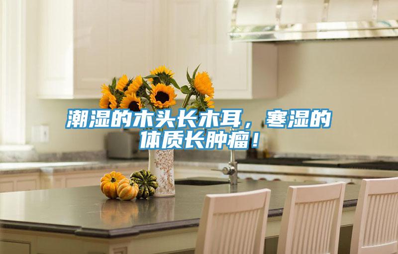 潮濕的木頭長木耳，寒濕的體質(zhì)長腫瘤！