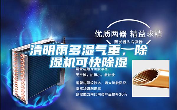 清明雨多濕氣重，除濕機可快除濕