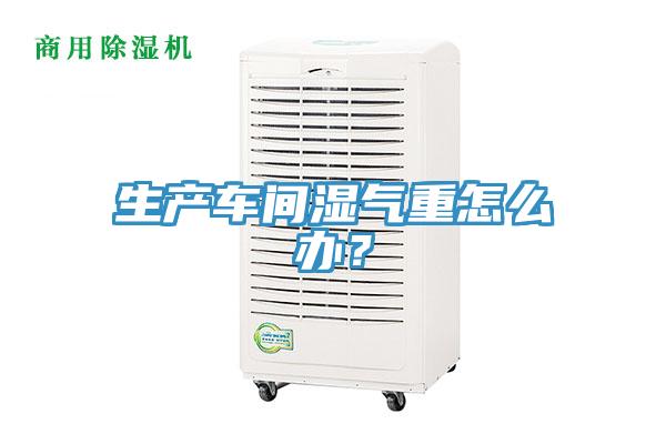 生產(chǎn)車間濕氣重怎么辦？