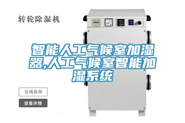 智能人工氣候室加濕器,人工氣候室智能加濕系統(tǒng)