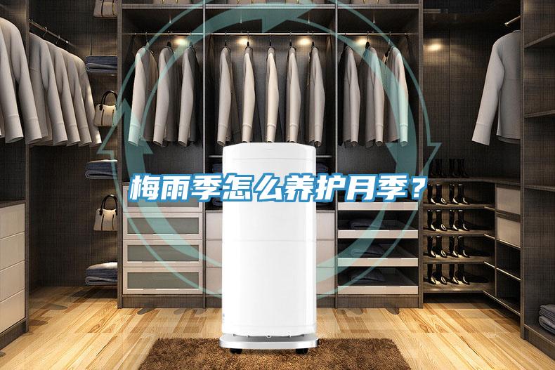 梅雨季怎么養(yǎng)護(hù)月季？