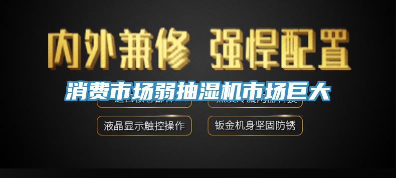 消費(fèi)市場(chǎng)弱抽濕機(jī)市場(chǎng)巨大