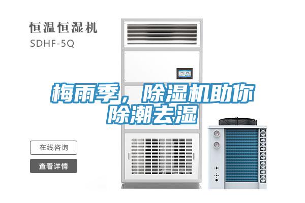 梅雨季，除濕機(jī)助你除潮去濕