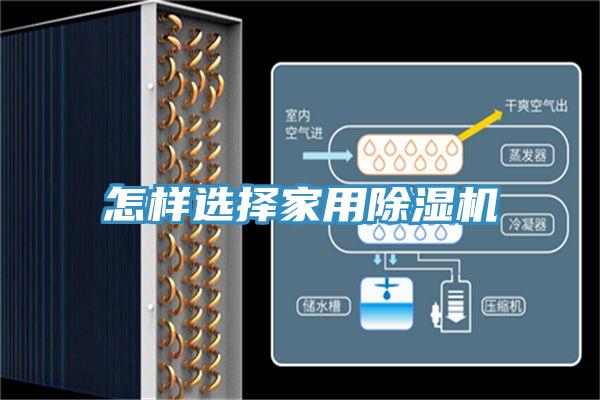 怎樣選擇家用除濕機