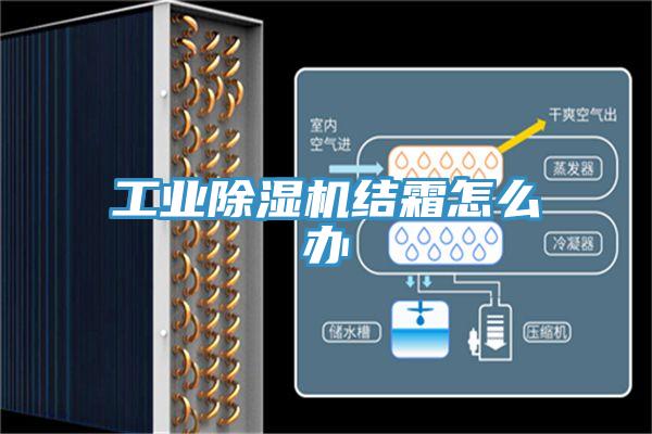 工業(yè)除濕機結(jié)霜怎么辦