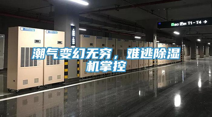 潮氣變幻無窮，難逃除濕機(jī)掌控