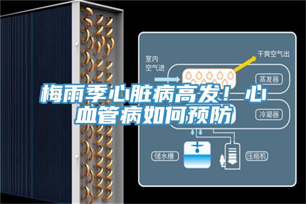 梅雨季心臟病高發(fā)！心血管病如何預(yù)防