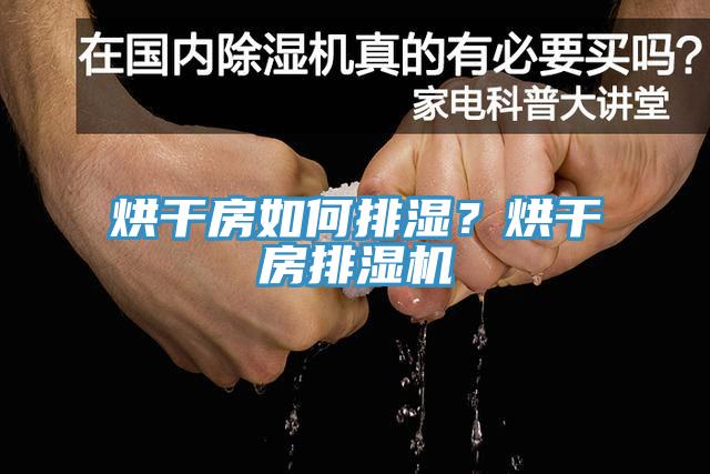 烘干房如何排濕？烘干房排濕機