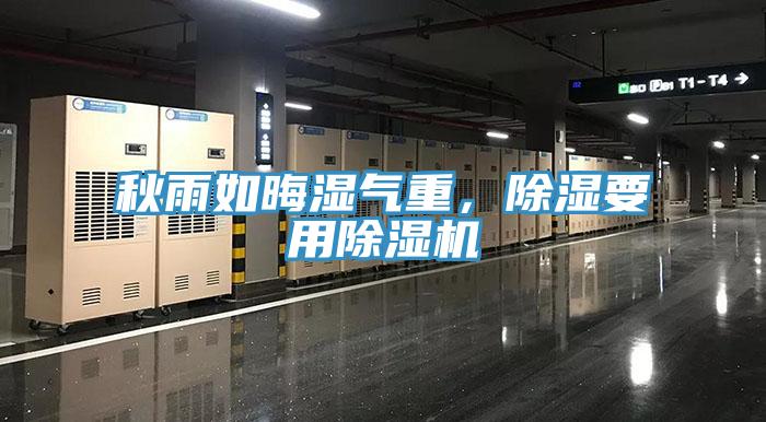 秋雨如晦濕氣重，除濕要用除濕機