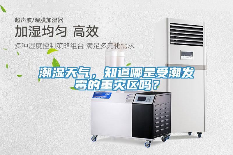 潮濕天氣，知道哪是受潮發(fā)霉的重災(zāi)區(qū)嗎？