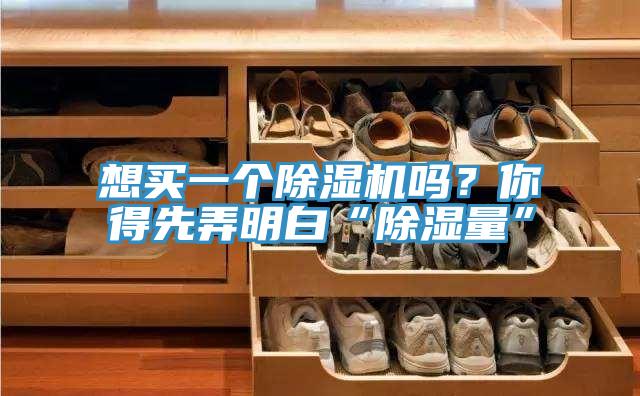 想買一個除濕機(jī)嗎？你得先弄明白“除濕量”
