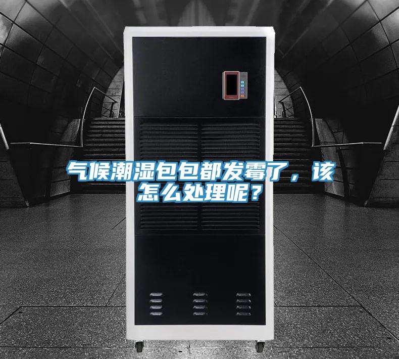 氣候潮濕包包都發(fā)霉了，該怎么處理呢？